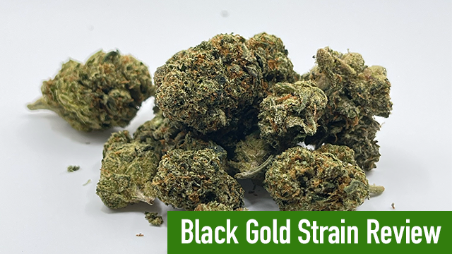 black gold strain review