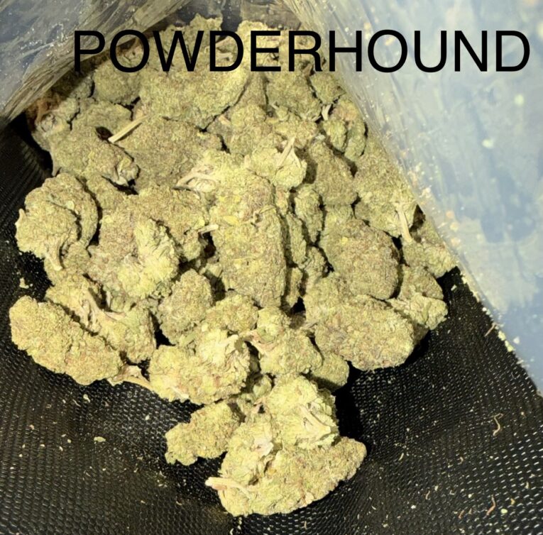 Powderhound