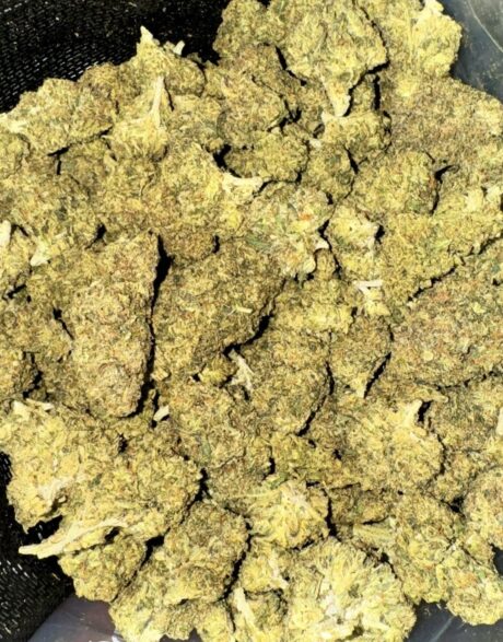 silverhawks og