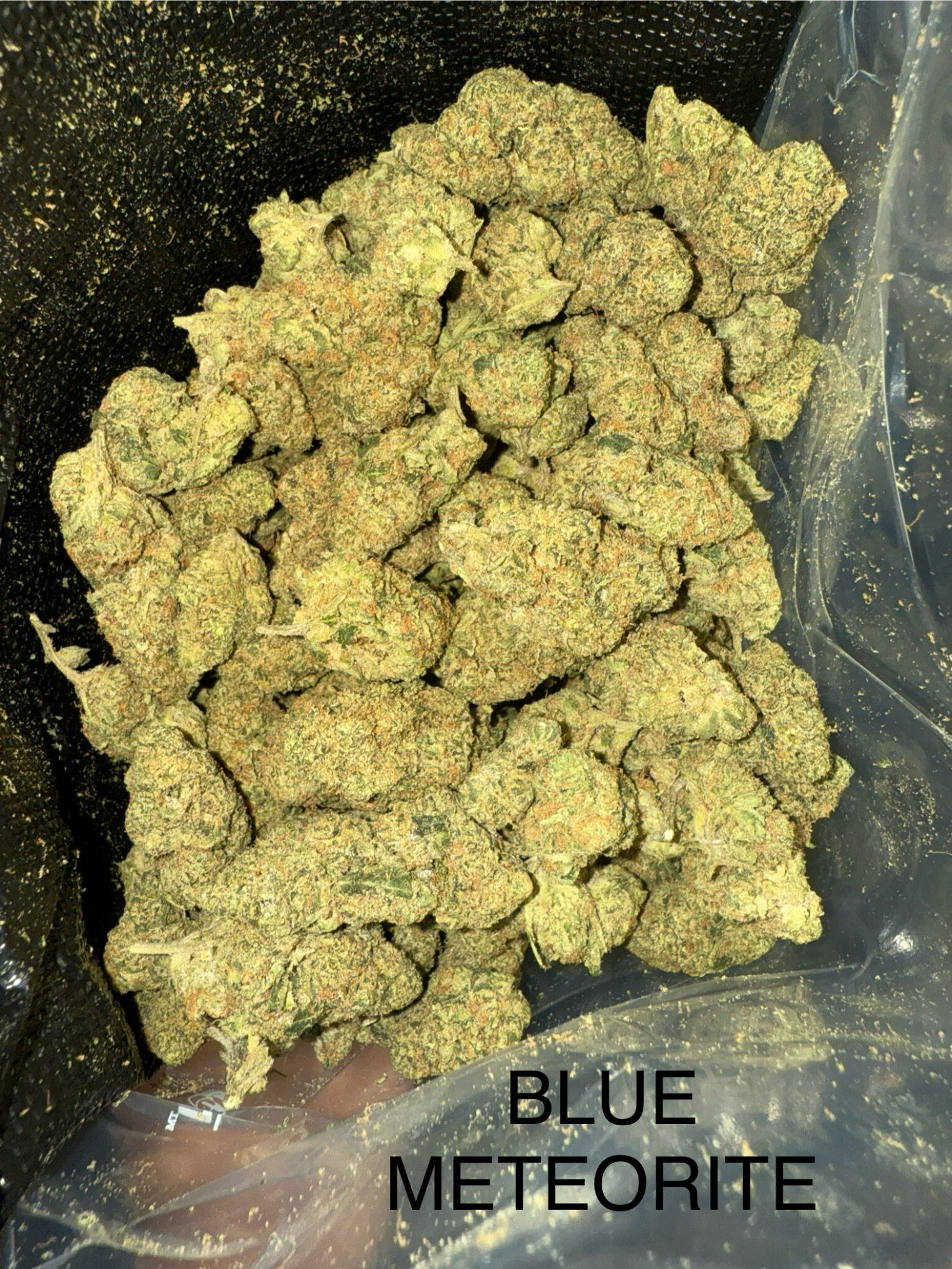 Blue Meteorite Delivery - Top-Quality Cannabis | Select Co-Op DC
