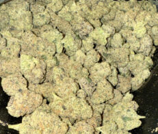 BERNERS-COOKIES