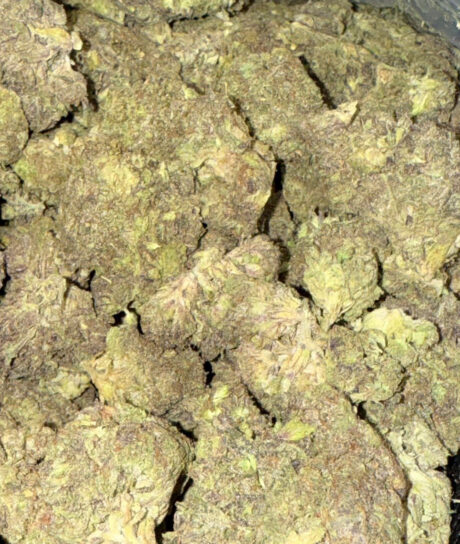 WEST-COAST-DIESEL