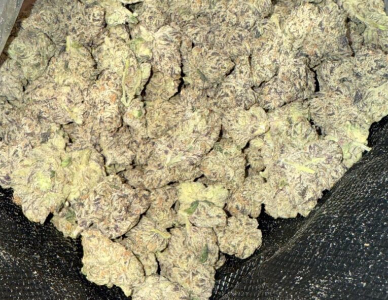 Purple Cherry Zushie