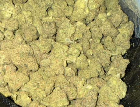 Ape Cookies