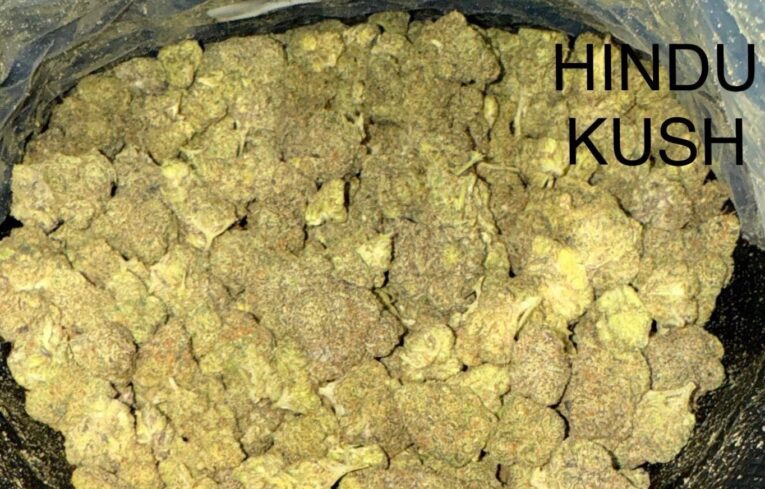Hindu Kush