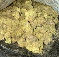 ape-diesel