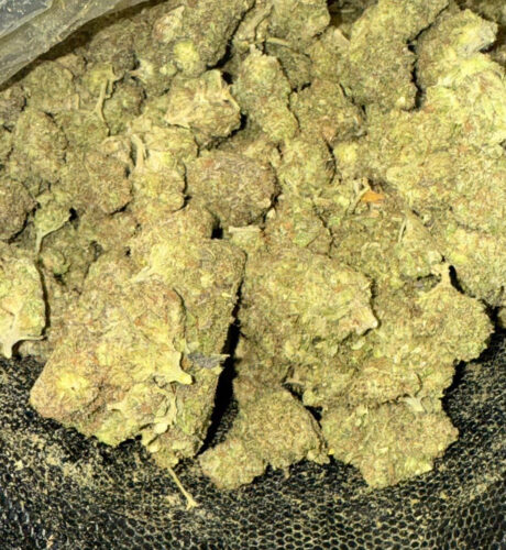 biodiesel