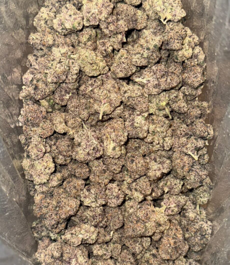 gelato
