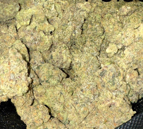 sourpoison