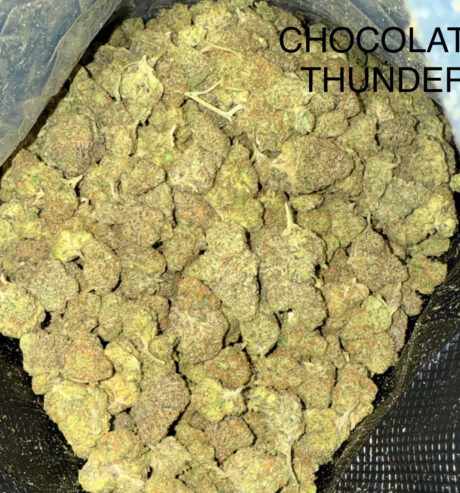 CHOCOLATE THUNDER