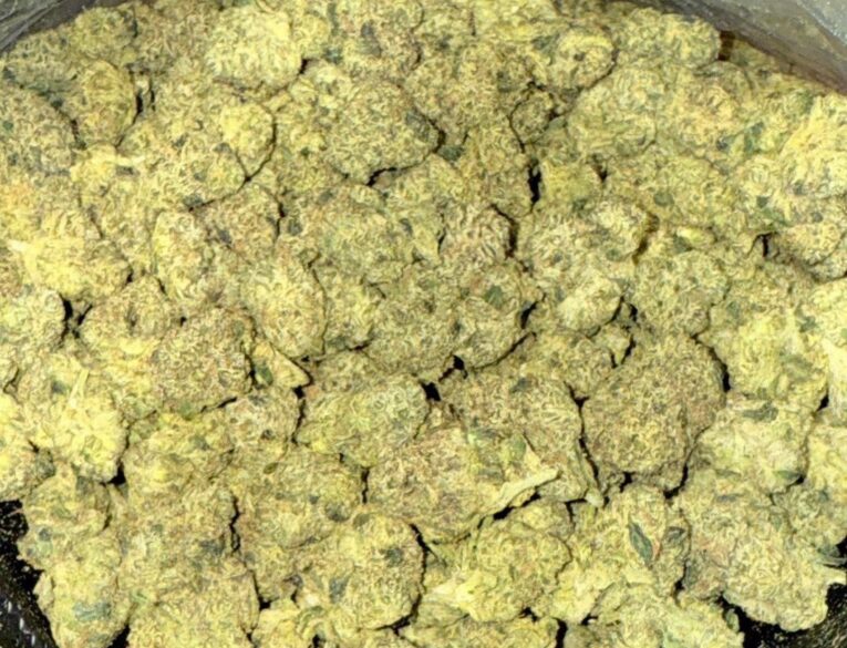 Sour Poison
