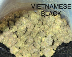 VIET BLACK