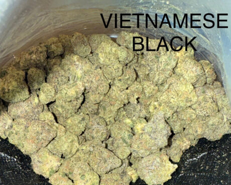 VIET BLACK