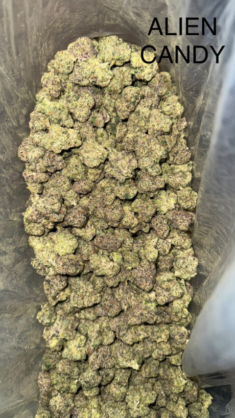 aliencandy