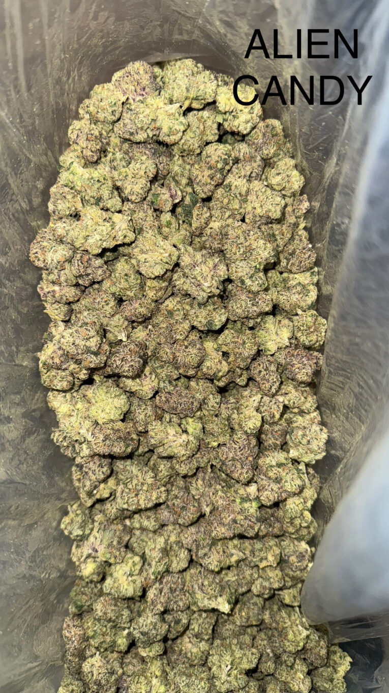 aliencandy