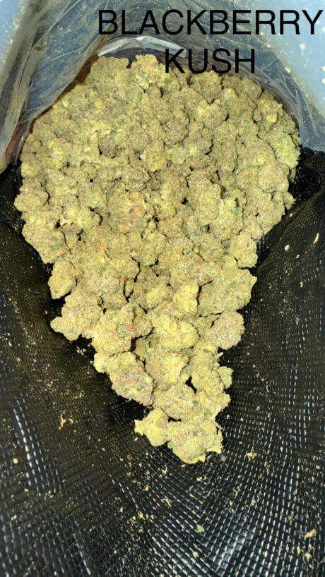 blackberry kush