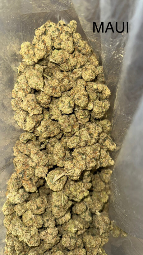 maui