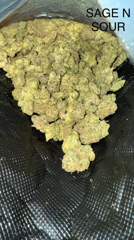 sage n sour