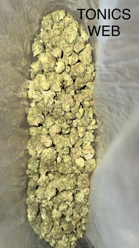tonic web
