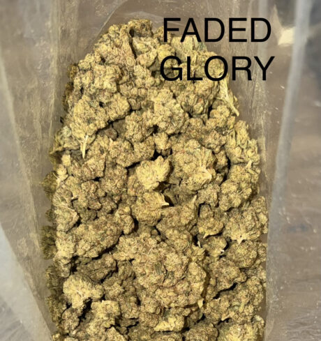 faded-glory