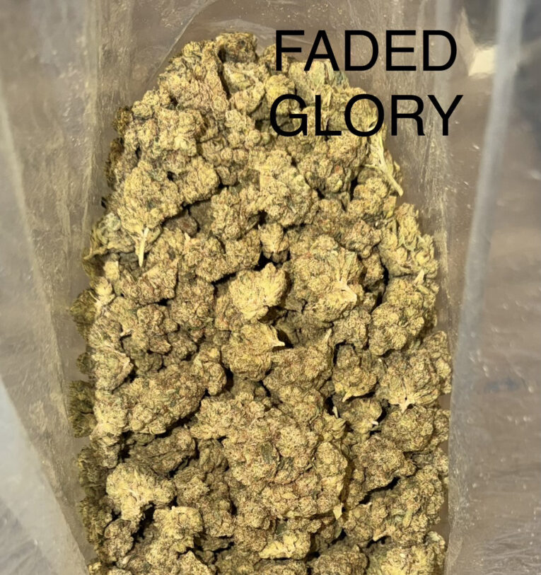 faded-glory