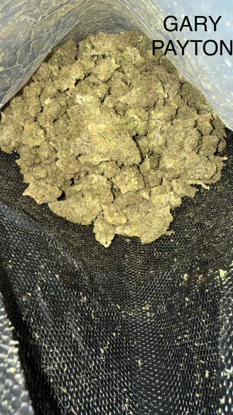 gary-payton
