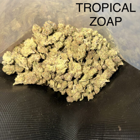 tropical zoap