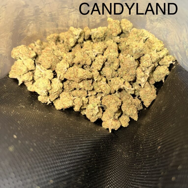 candyland