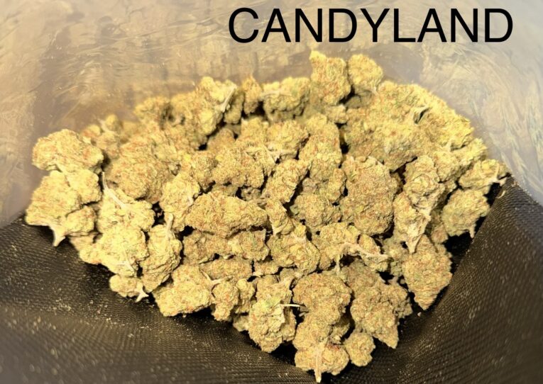 candyland