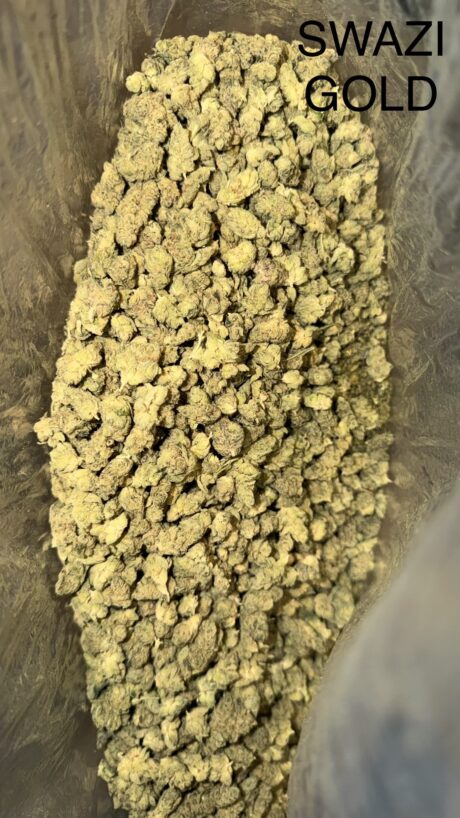 swazigold