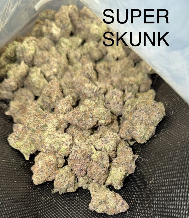 Skunk