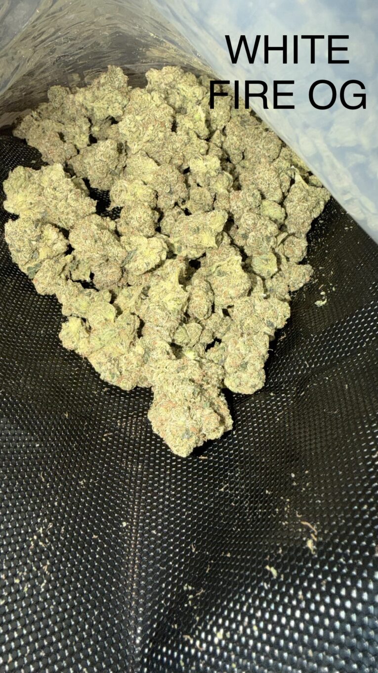 whitefireog