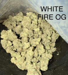 whitefireog