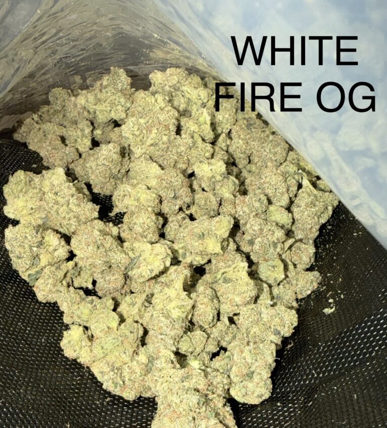 whitefireog
