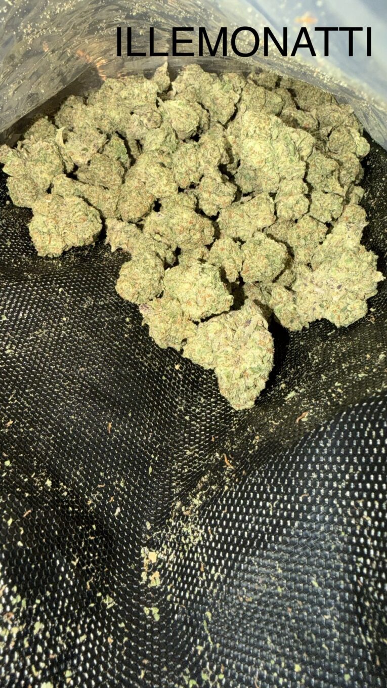 Illemonatti