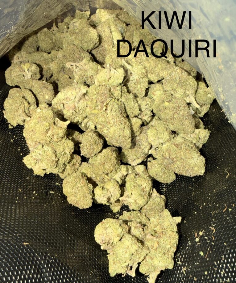 Kiwi-Daquiri