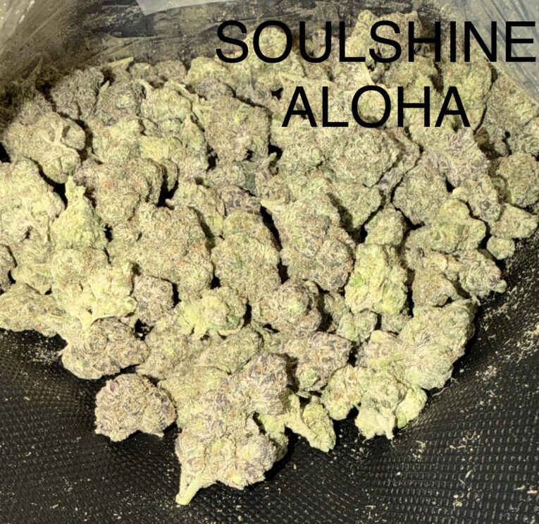 Soulshine-Aloha