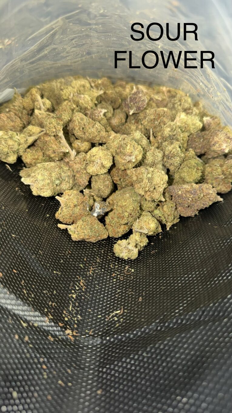 Sour-Flower