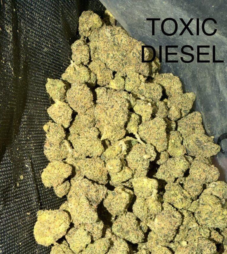 Toxic-Diesel