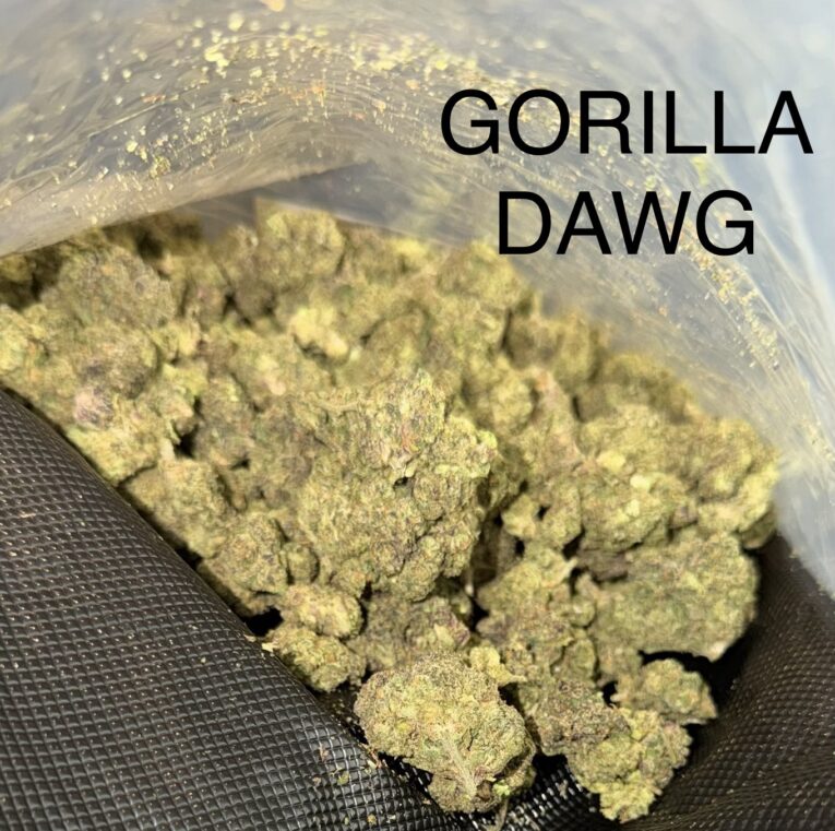 Gorilla-Dawg