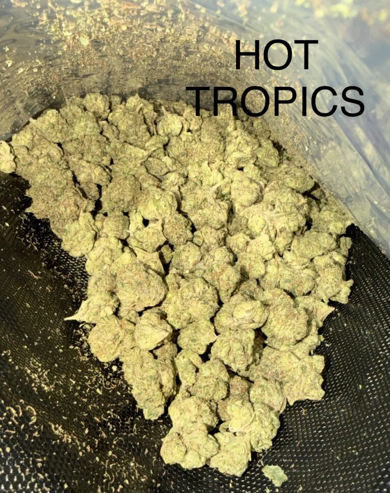 Hot-Tropics