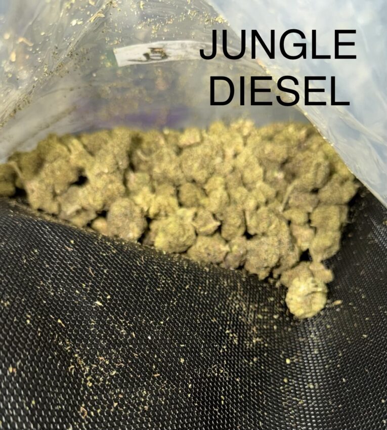 Jungle-Diesel