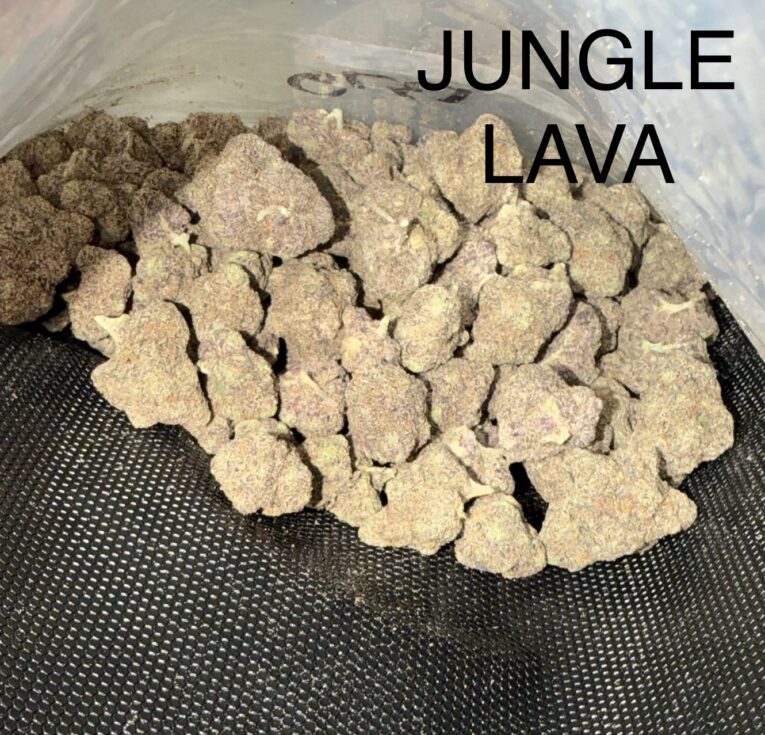 Jungle-Lava
