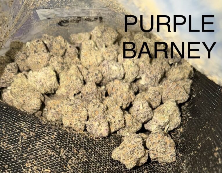 Purple-Barney