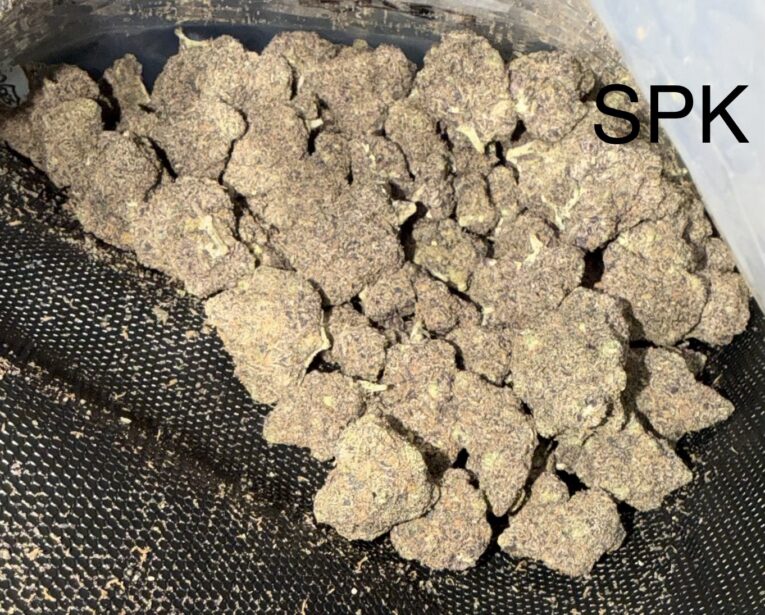 SPK
