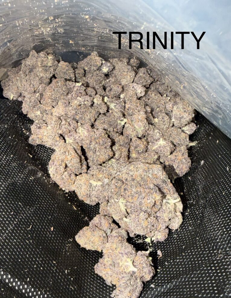 Trinity