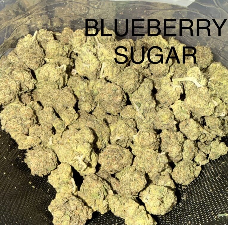 Blueberry-Sugar