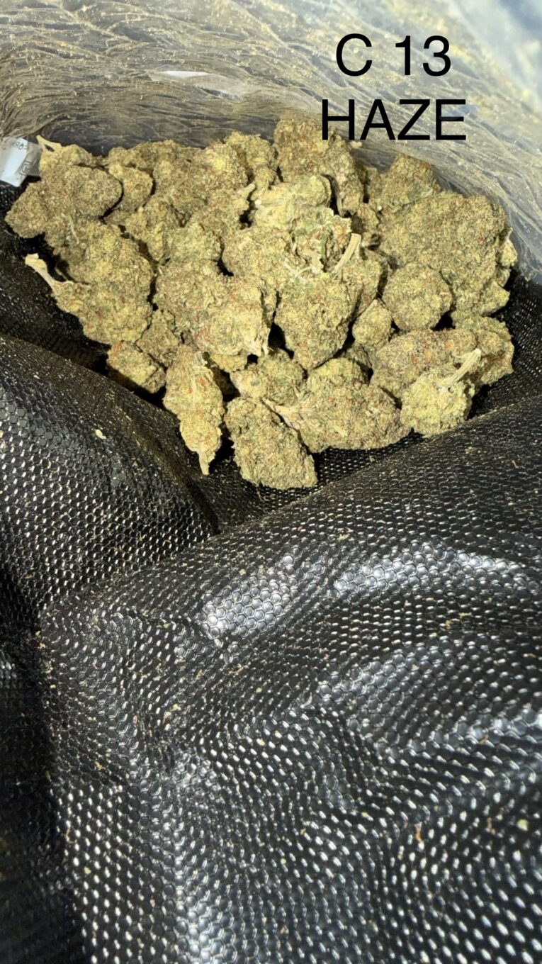 C13-Haze
