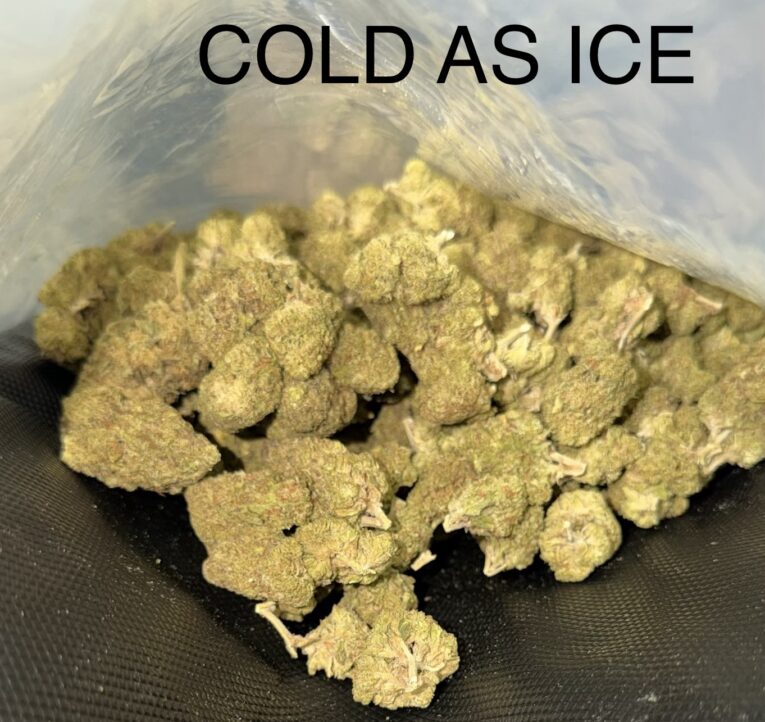 Cold-As-Ice