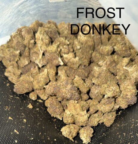 Frost-Donkey